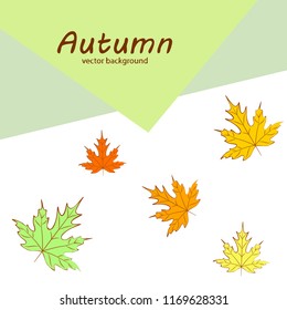 maple leaves autumnal vector background