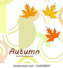 maple leaves autumnal vector background