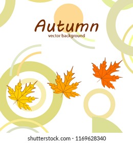 maple leaves autumnal vector background