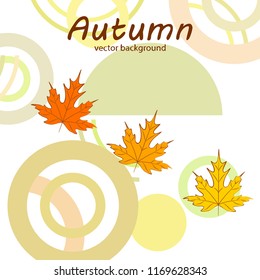 maple leaves autumnal vector background