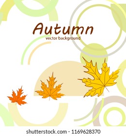maple leaves autumnal vector background