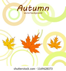 maple leaves autumnal vector background