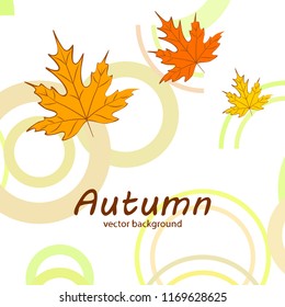 maple leaves autumnal vector background
