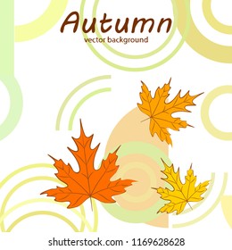 maple leaves autumnal vector background
