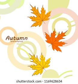 maple leaves autumnal vector background