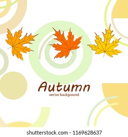 maple leaves autumnal vector background