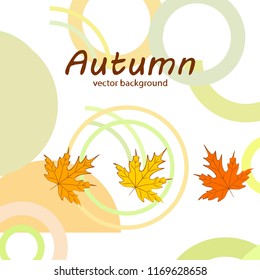 maple leaves autumnal vector background