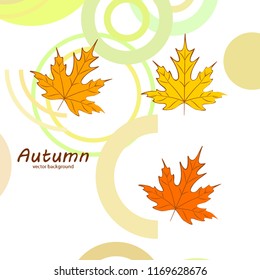 maple leaves autumnal vector background maple leaves autumnal vector background
