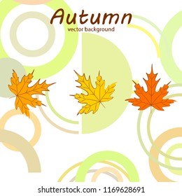 maple leaves autumnal vector background