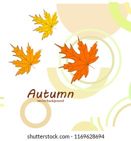 maple leaves autumnal vector background