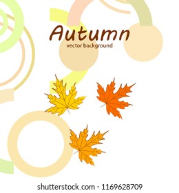 maple leaves autumnal vector background