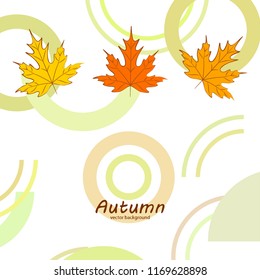 maple leaves autumnal vector background