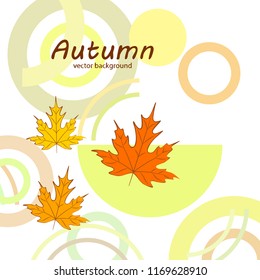 maple leaves autumnal vector background