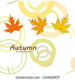 maple leaves autumnal vector background