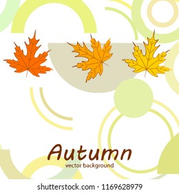 maple leaves autumnal vector background