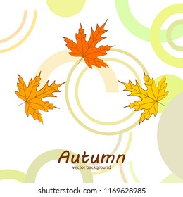 maple leaves autumnal vector background