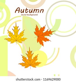 maple leaves autumnal vector background