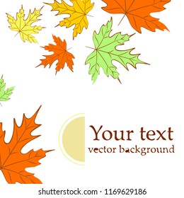 maple leaves autumnal vector background