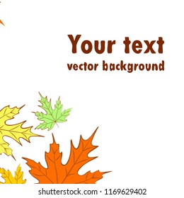 maple leaves autumnal vector background