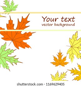 maple leaves autumnal vector background