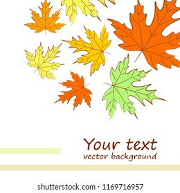maple leaves autumnal vector background