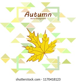 maple leaves autumnal vector background