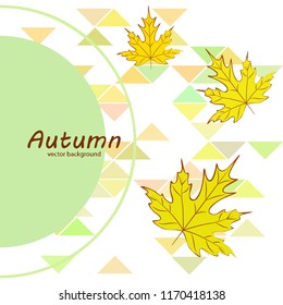 maple leaves autumnal vector background