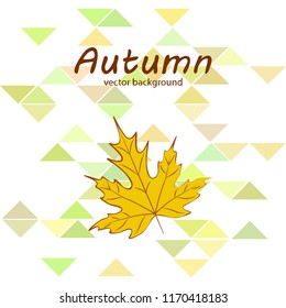 maple leaves autumnal vector background