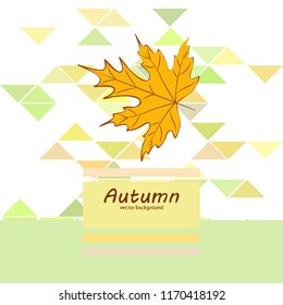 maple leaves autumnal vector background