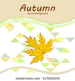 maple leaves autumnal vector background
