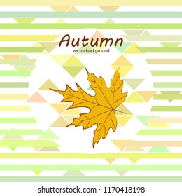 maple leaves autumnal vector background