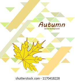maple leaves autumnal vector background