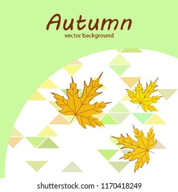 maple leaves autumnal vector background