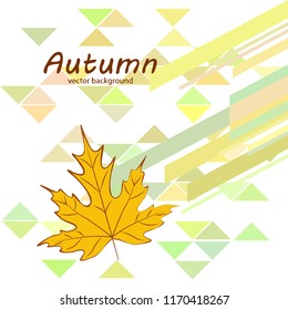 maple leaves autumnal vector background