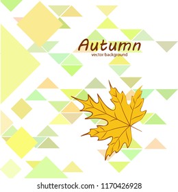 maple leaves autumnal vector background