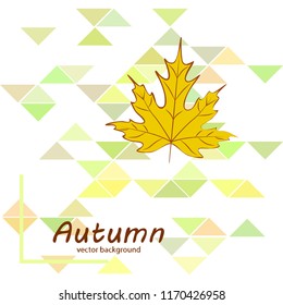 maple leaves autumnal vector background