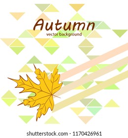 maple leaves autumnal vector background
