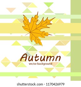 maple leaves autumnal vector background
