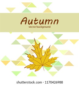 maple leaves autumnal vector background