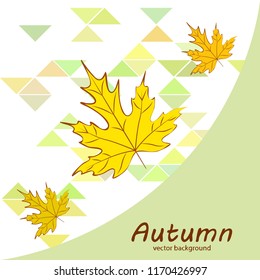 maple leaves autumnal vector background
