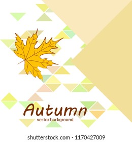 maple leaves autumnal vector background