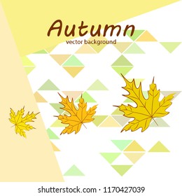 maple leaves autumnal vector background