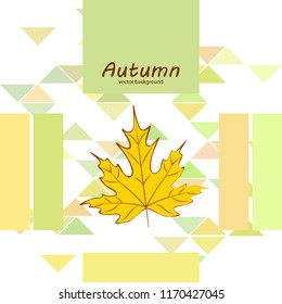 maple leaves autumnal vector background