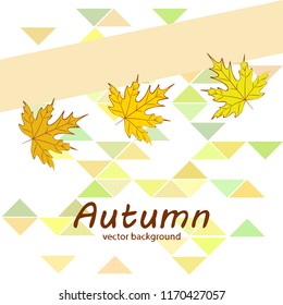 maple leaves autumnal vector background