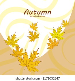 maple leaves autumnal vector background