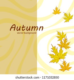 maple leaves autumnal vector background