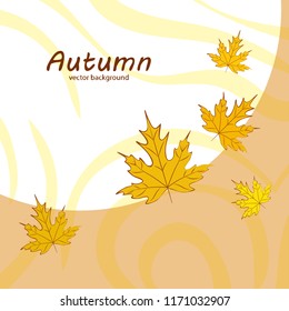 maple leaves autumnal vector background