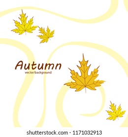 maple leaves autumnal vector background
