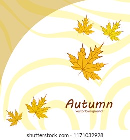 maple leaves autumnal vector background