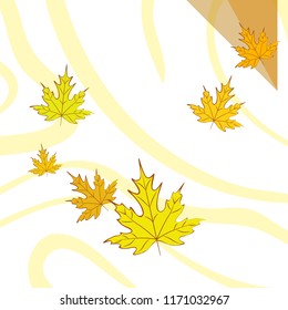 maple leaves autumnal vector background